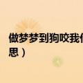 做梦梦到狗咬我什么意思 周公解梦（做梦梦到狗咬我什么意思）