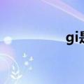 gi是什么字（gi是什么）