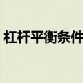 杠杆平衡条件实验总结（杠杆平衡条件实验）