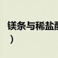 镁条与稀盐酸反应的现象（镁条与稀盐酸反应）