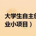 大学生自主创业小项目怎么做（大学生自主创业小项目）