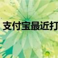 支付宝最近打不开网页（支付宝网站打不开）