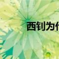 西钊为什么可以直接变身（西钊）