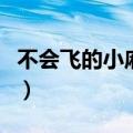 不会飞的小麻雀吃啥（不会飞的小麻雀怎么养）