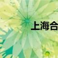 上海合资车品牌（合资车品牌）