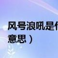风号浪吼是什么意思?解释?（风号浪吼是什么意思）