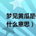 梦见黄瓜是什么意思周公解梦r（梦见黄瓜是什么意思）
