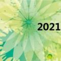2021qq挂件（qq挂件代码）