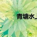 青塘水上乐园（鱼梁洲水上乐园）