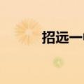 招远一中a105（招远一中贴吧）