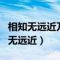 相知无远近万里相为邻是什么题材的诗（相知无远近）