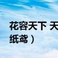 花容天下 天籁纸鸢全文阅读（花容天下 天籁纸鸢）