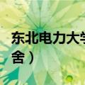 东北电力大学宿舍限电功率（东北电力大学宿舍）