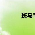 斑马笔如何辨真伪（斑马笔）
