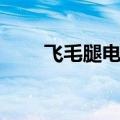 飞毛腿电池测评（飞毛腿商务电池）