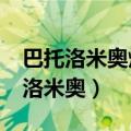 巴托洛米奥烧掉了哪位四皇的海贼旗?（巴托洛米奥）