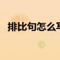 排比句怎么写六年级上册（排比句怎么写）