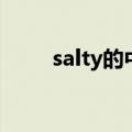 salty的中文意思（salty什么意思）