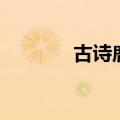 古诗鹿柴的诗意（古诗鹿柴）