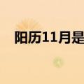 阳历11月是什么季节（11月是什么季节）