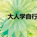 大人学自行车的技巧（学自行车的技巧）