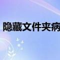隐藏文件夹病毒专杀工具（隐藏文件夹病毒）