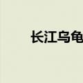 长江乌龟品种图片（乌龟品种图片）