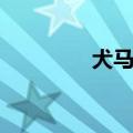 犬马四字词语（犬马成语）