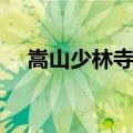 嵩山少林寺门票预约（嵩山少林寺门票）
