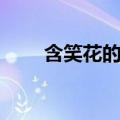 含笑花的十大禁忌（含笑花有毒吗）