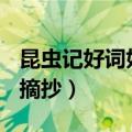 昆虫记好词好句摘抄200个（昆虫记好词好句摘抄）