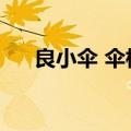 良小伞 伞根硕图片（良小伞个人资料）