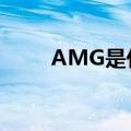 AMG是什么车子（amg是什么车）