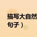 描写大自然的句子简短10字（描写大自然的句子）