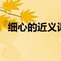 细心的近义词有什么意思（细心的近义词）