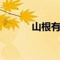 山根有横纹面相（山根有横纹）