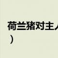 荷兰猪对主人有感情吗（荷兰猪亲近人的表现）