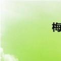 梅古诗梅花（梅古诗）