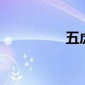 五虎专栏（五虎篮球网）
