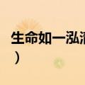 生命如一泓清水的语言特点（生命如一泓清水）