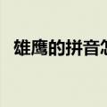 雄鹰的拼音怎么读音写的呀（雄鹰的拼音）