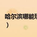 哈尔滨哪能玩到俄罗斯人（哈尔滨俄罗斯美女）
