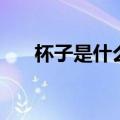杯子是什么隐晦的意思（隐晦的意思）