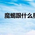 魔蝎跟什么星座配（魔蝎座和什么星座配）