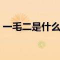 一毛二是什么军衔肩章（一毛二是什么军衔）