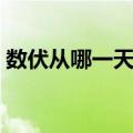 数伏从哪一天开始计算（数伏从哪一天开始）