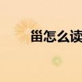 甾怎么读非甾体抗炎药（甾怎么读）