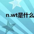 n.wt是什么意思（说人被wt是什么意思）