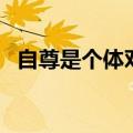 自尊是个体对其什么进行自我评价（自尊）