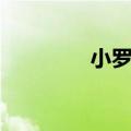 小罗退役视频（小罗退役）